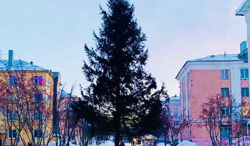 администрация Кировска