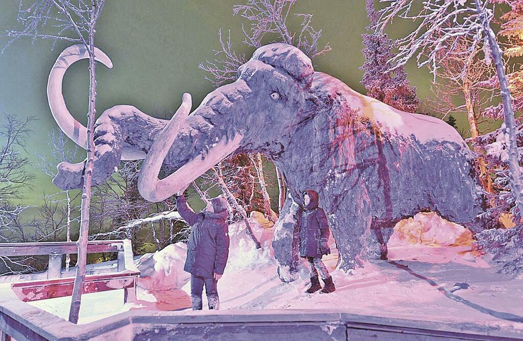 Льва Федосеева.