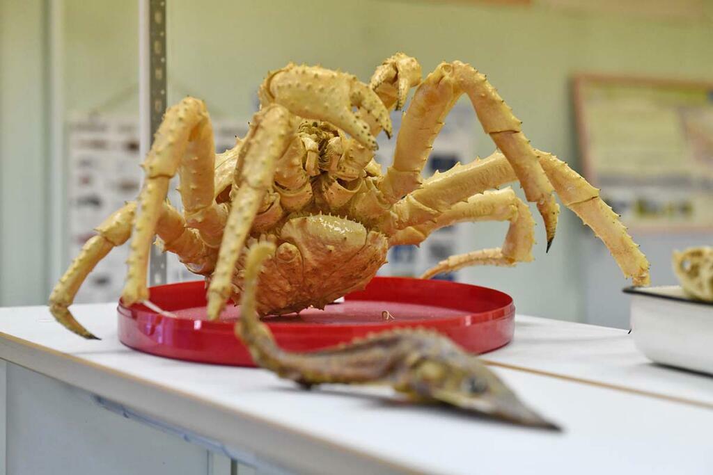 Сергея Ещенко.