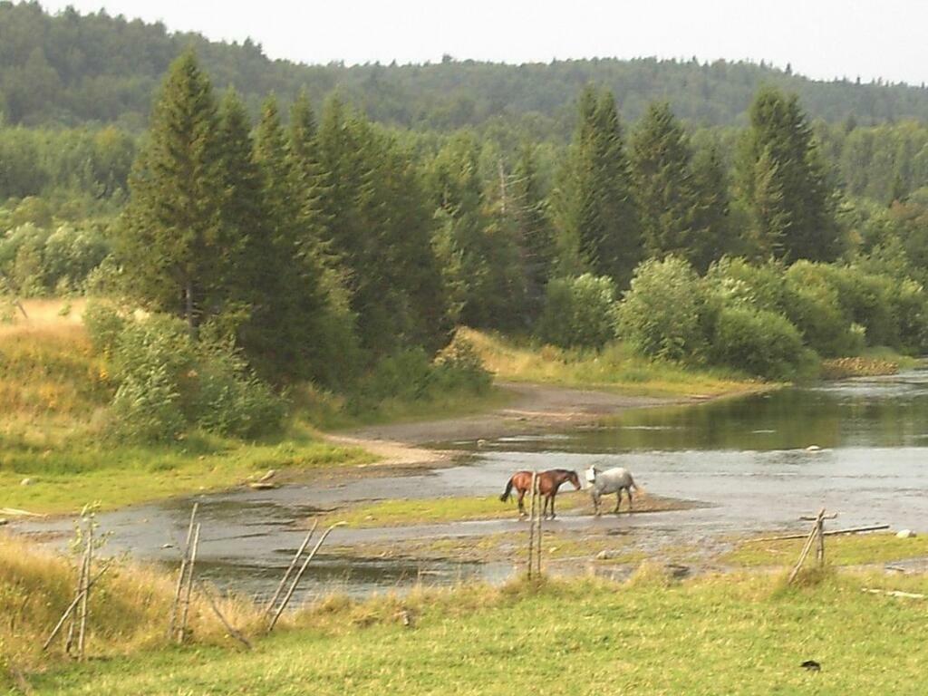 Лидия Белькова.