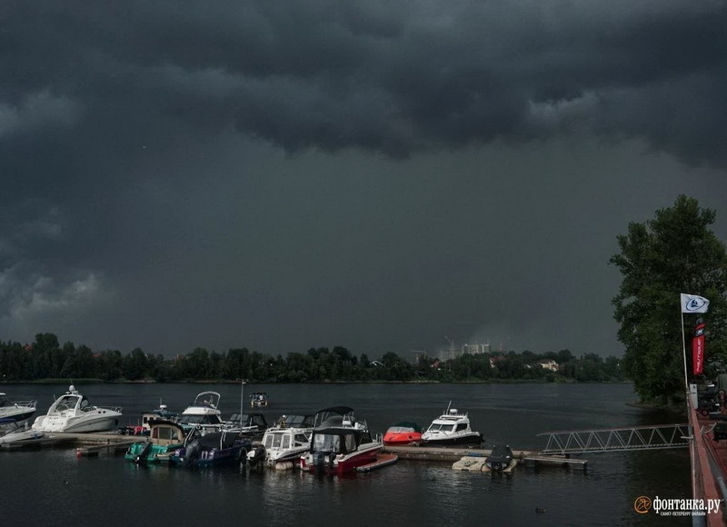 Фото Павла Каравашкина,