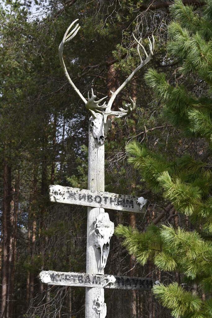Сергея Ещенко.