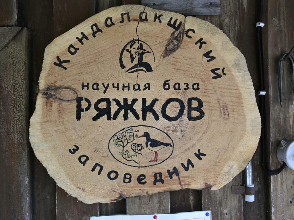 Сергея Ещенко.