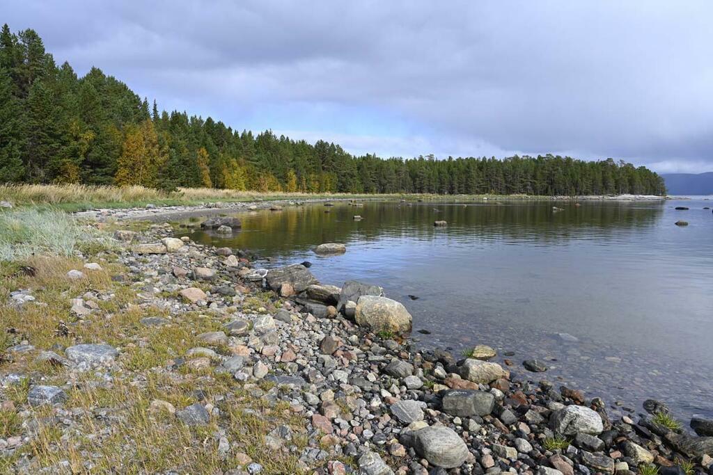 Сергея Ещенко.