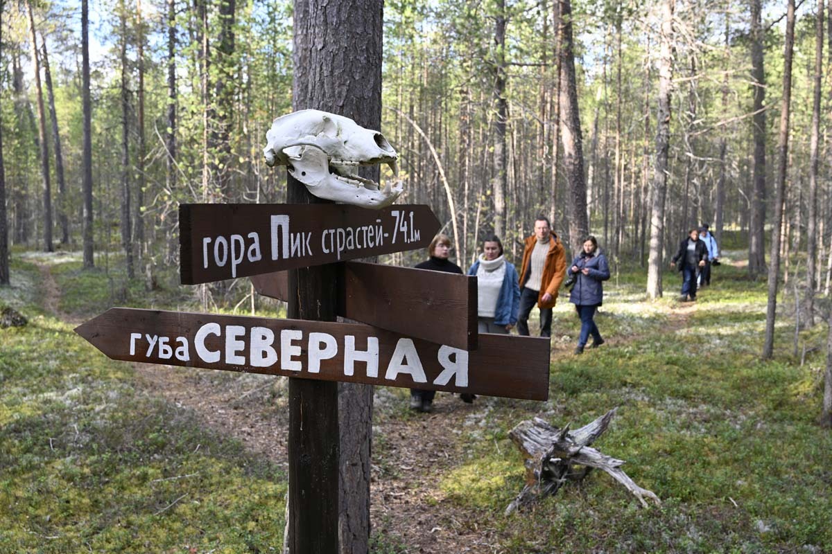 Сергея Ещенко.