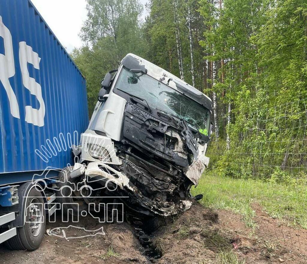 Фото: Мурманск ДТП ЧП/Телеграм-канал