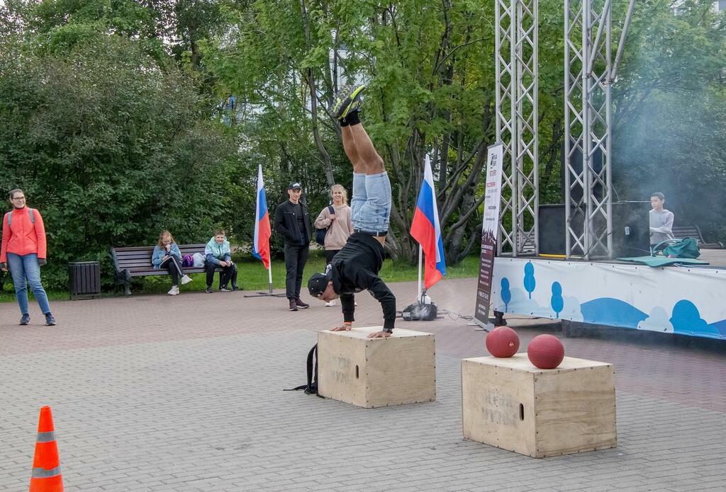 ARCTIC MIX FIGHT CLUB | Мурманск | AMF Promotion
