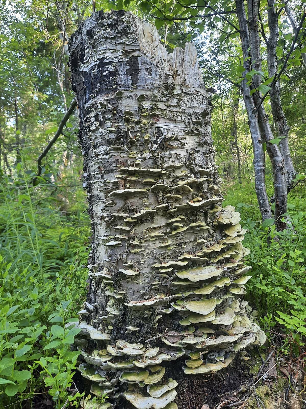 Фото: Илья Виноградов.