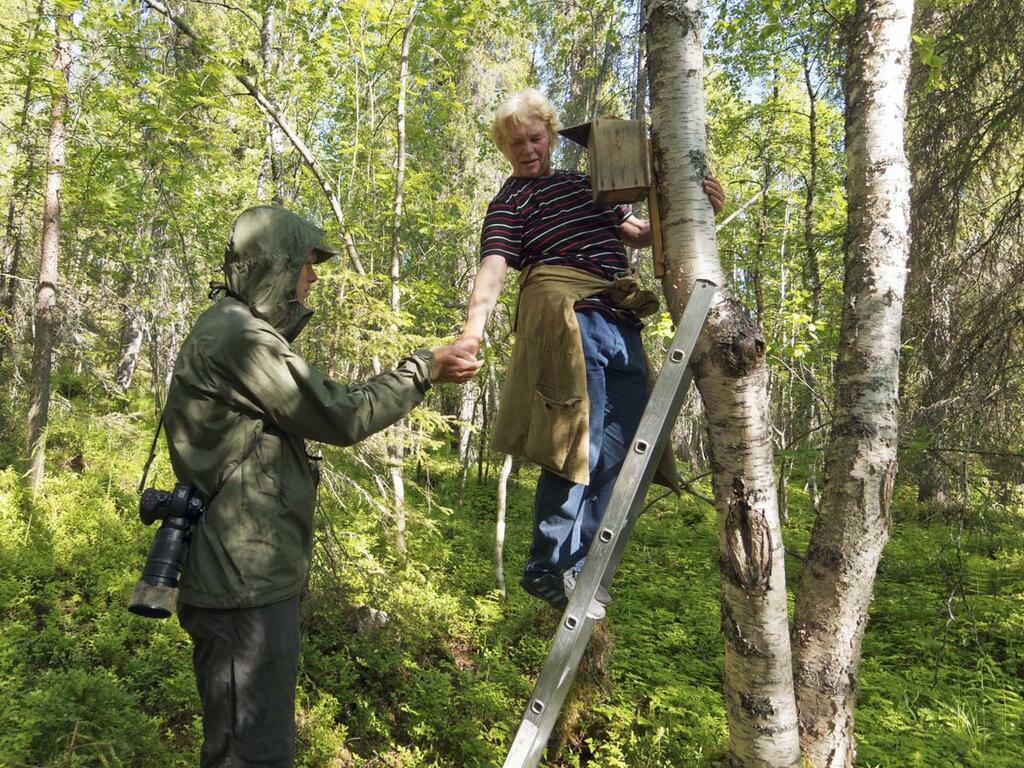 Работа с синичником.