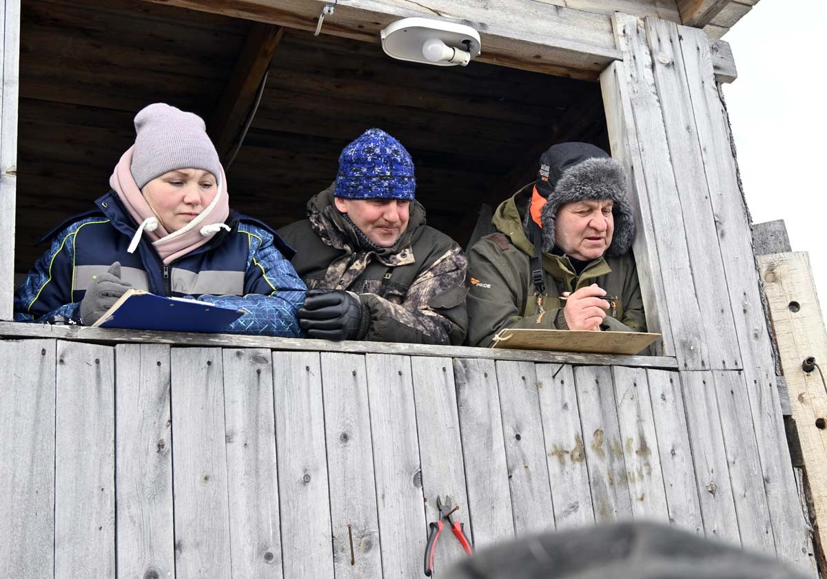 Фото Льва Федосеева.