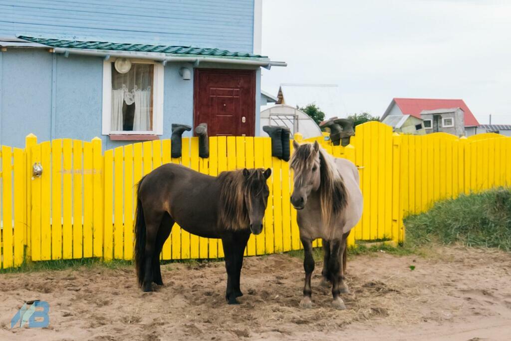 Фото: Игорь Громов.
