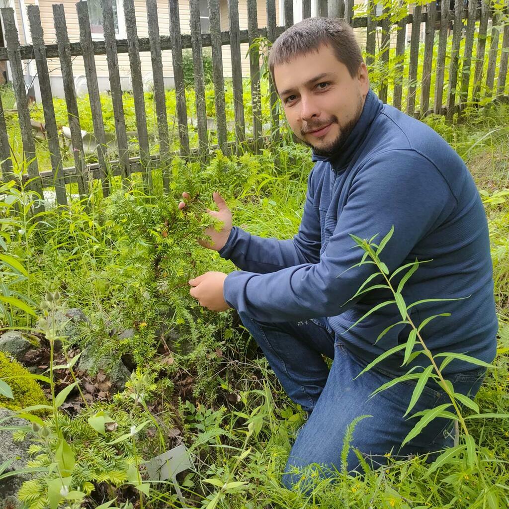 Зои Кабыш. Михаил Кожин - с ягодным тисом.