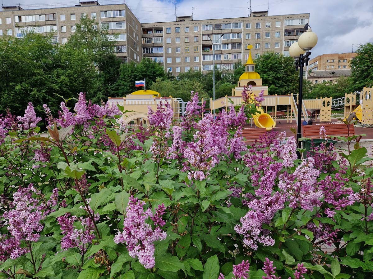 Фото Сергея Ещенко.
