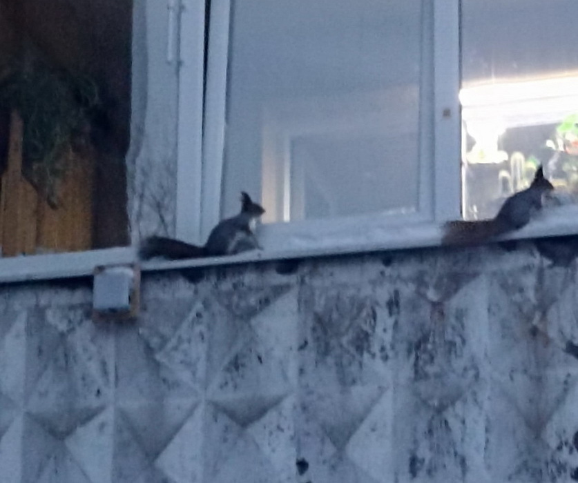 Фото Светланы Чуб