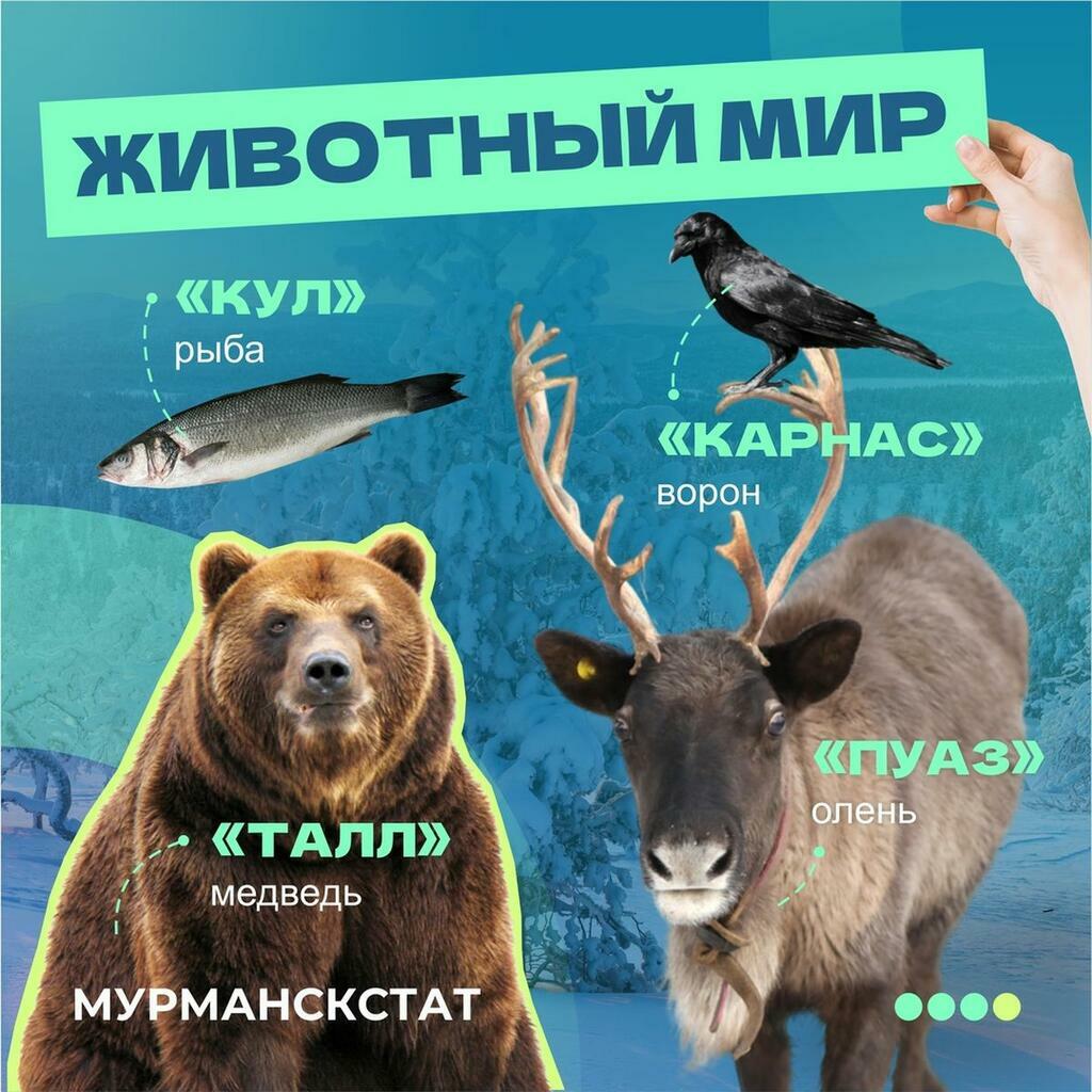Иллюстрация: Мурманскстат.