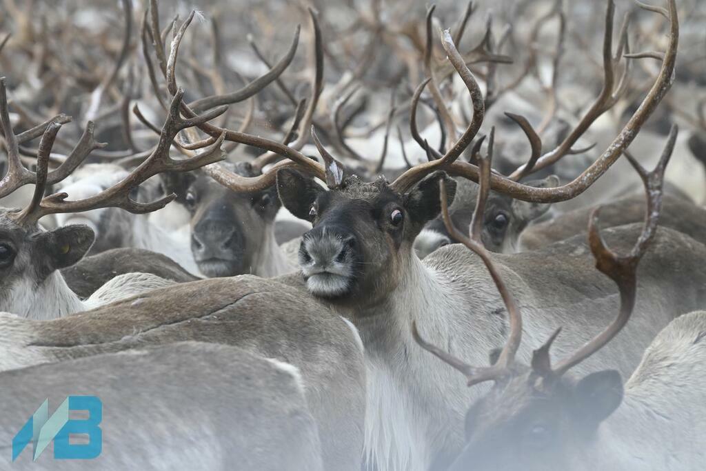 Фото: Лев Федосеев.