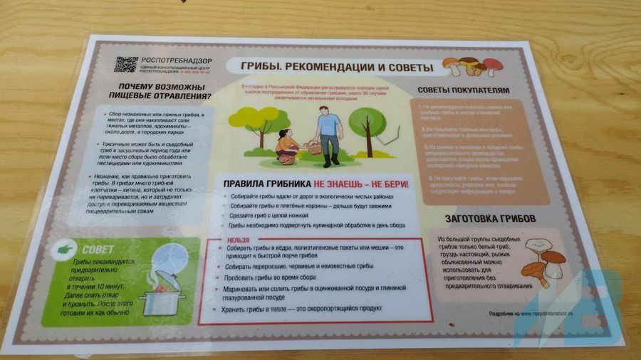 Анна Шмидт.