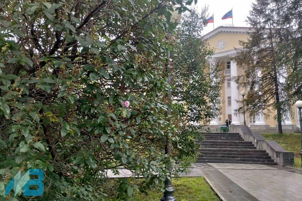 Фото: Сергей Юдков.