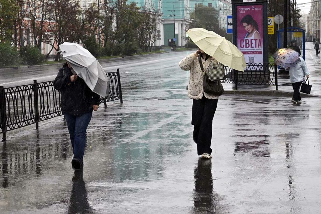 Фото Льва Федосеева. Фото Льва Федосеева.