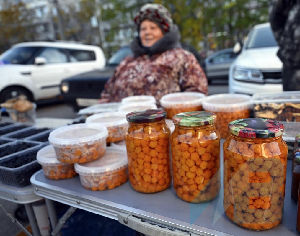 Фото Льва Федосеева.