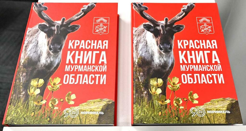 Фото Сергея Ещенко. Фото Сергея Ещенко.