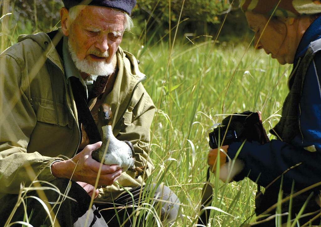 Виталий Витальевич и Ирина Xаритонова. Кольцевание самки гоголя. Фото из архива заповедника. Виталий Витальевич и Ирина Xаритонова. Кольцевание самки гоголя. Фото из архива заповедника.