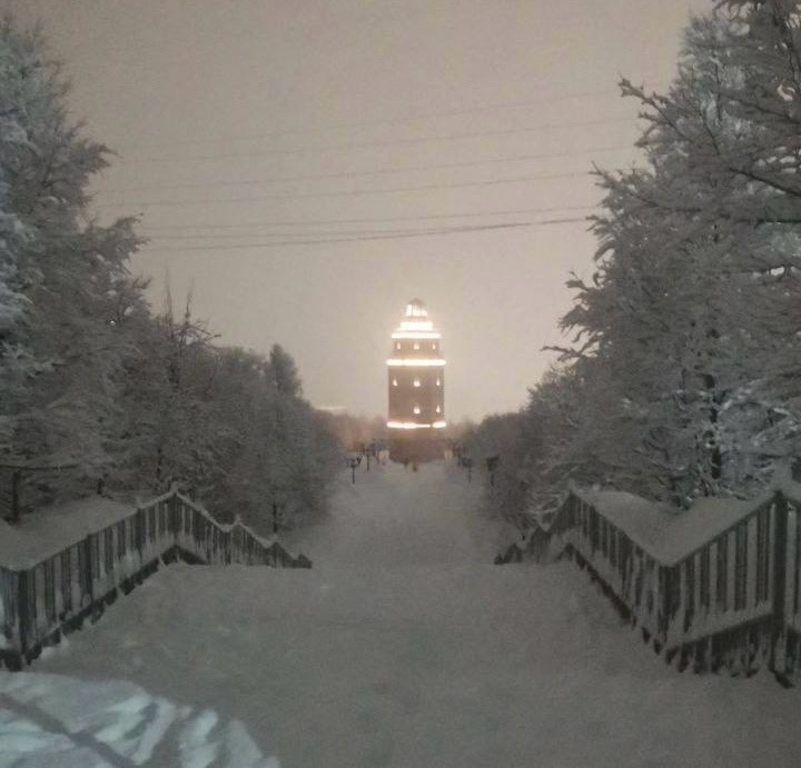 Фото: телеграм-канал Ивана Лебедева.