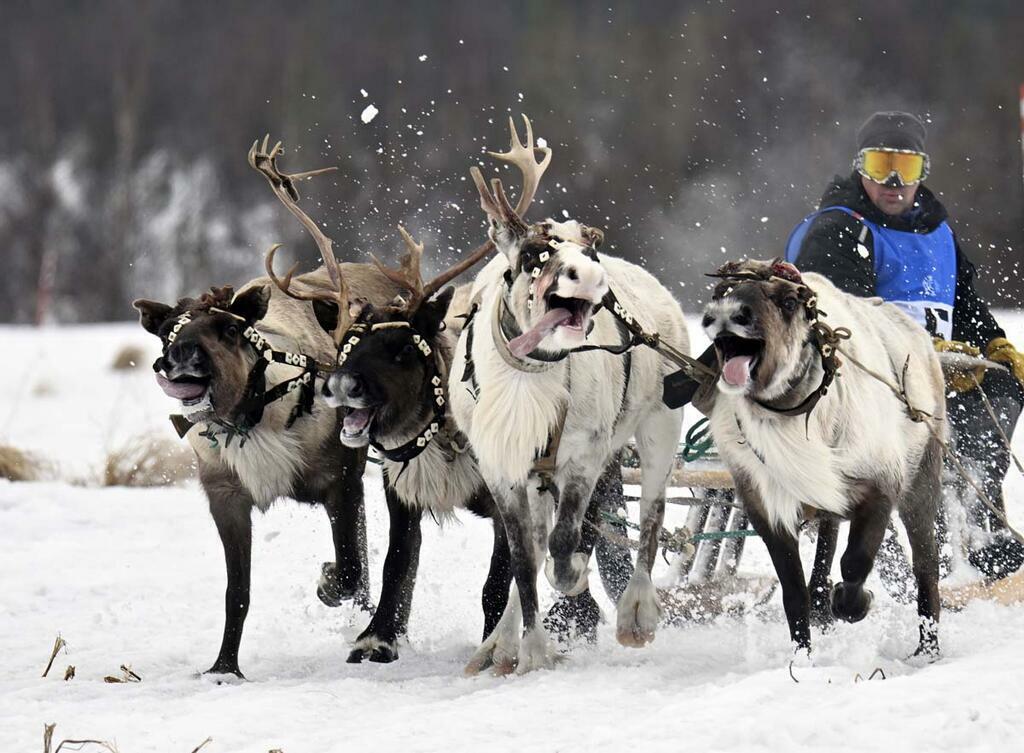 Льва Федосеева.