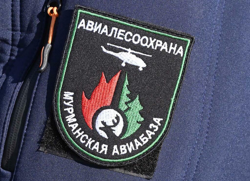 Льва Федосеева.