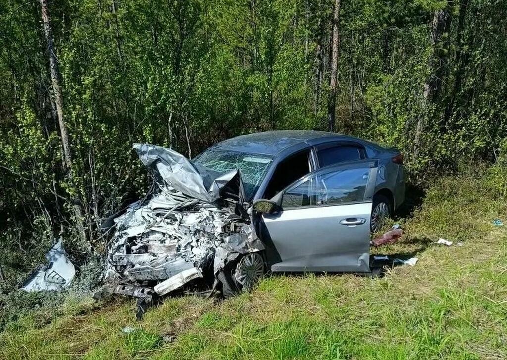 Фото: Управление по ГОЧС и ПБ Мурманской области
