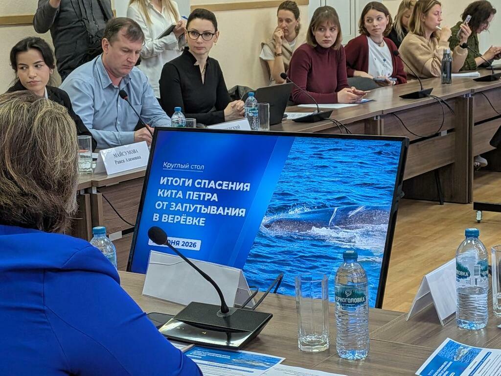 Фото: пресс-служба правительства Мурманской области. Фото: пресс-служба правительства Мурманской области.