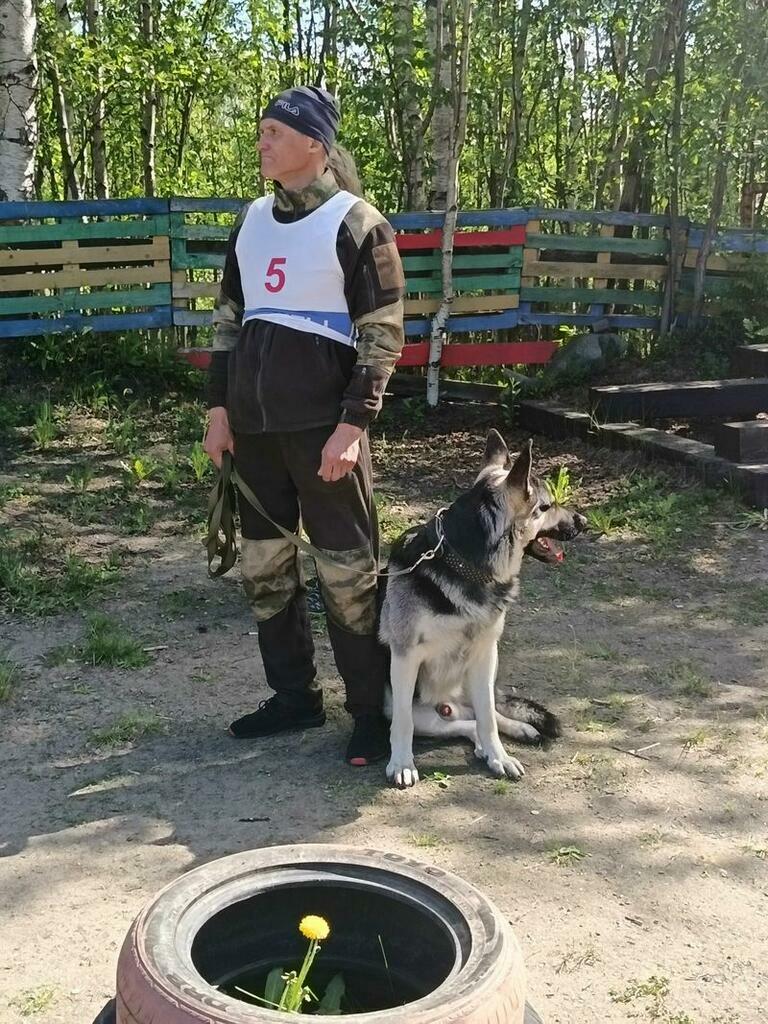 Фото: Министерство спорта Мурманской области. Фото: Министерство спорта Мурманской области.