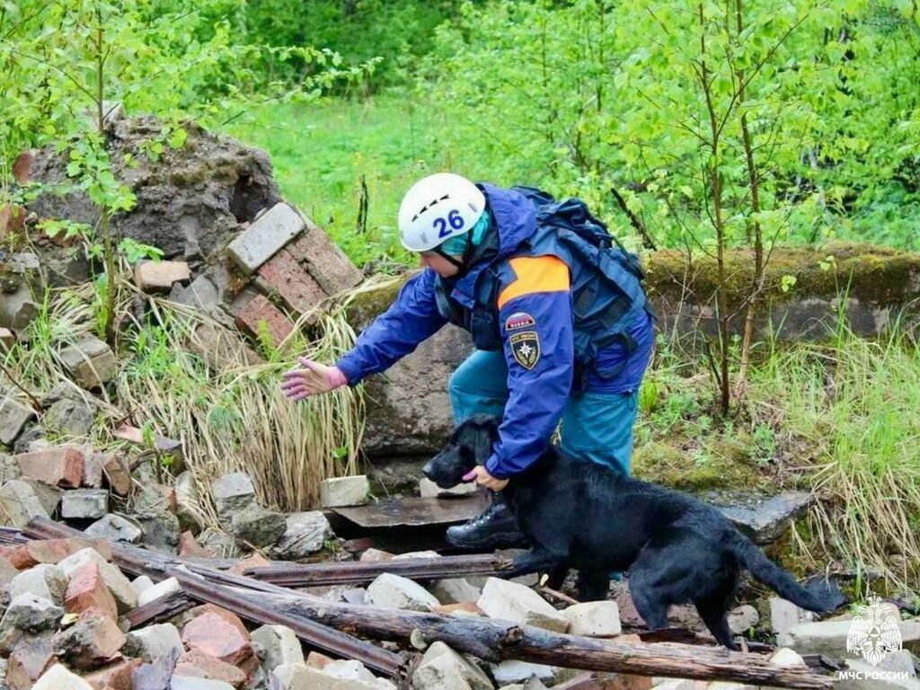Фото: МЧС Мурманск/ВК.