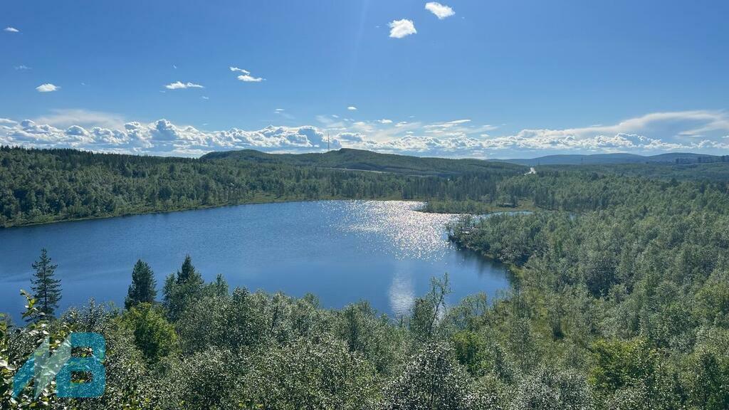 Фото: Алексей Исаев.