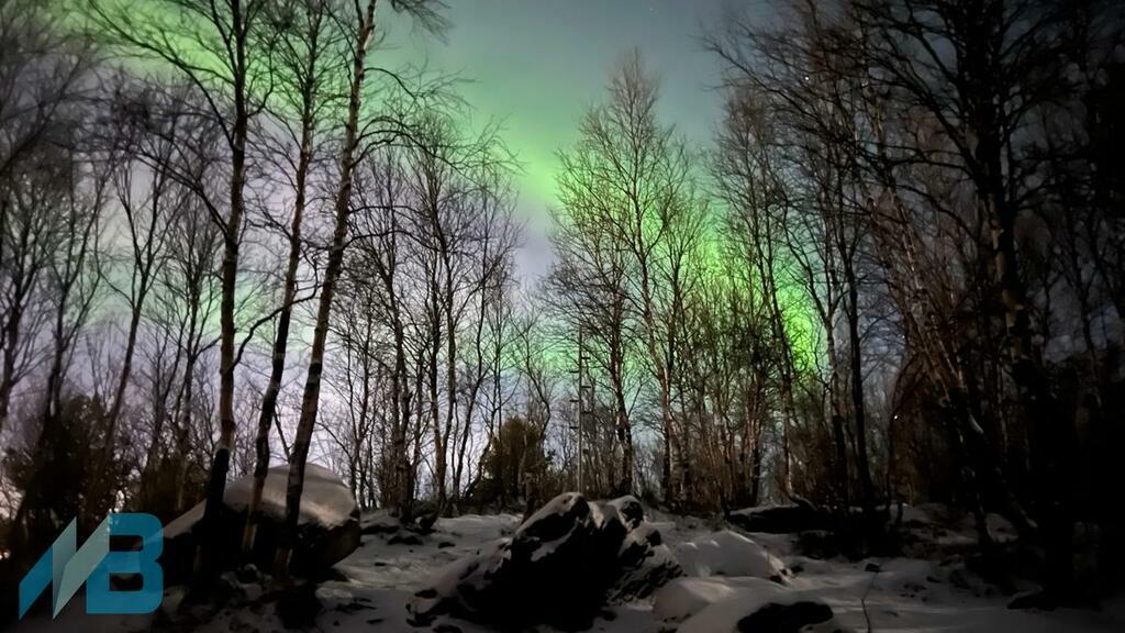 Фото: Алексей Исаев.