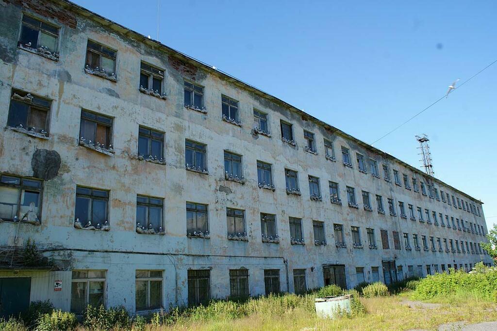 Птичий базар в рыбном порту.