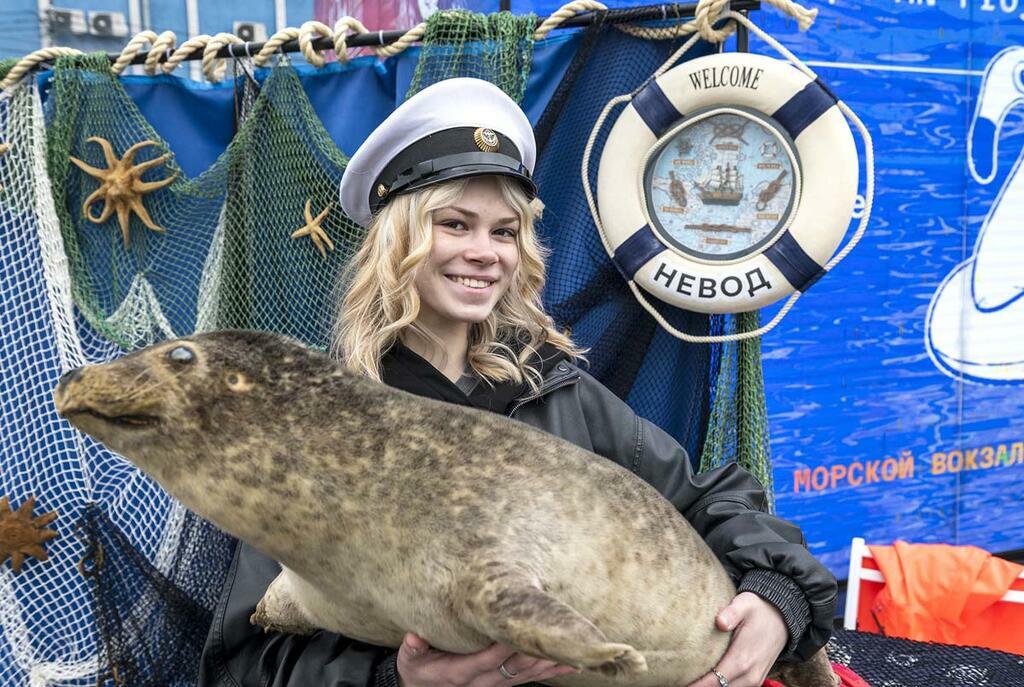 Сергея Ещенко.