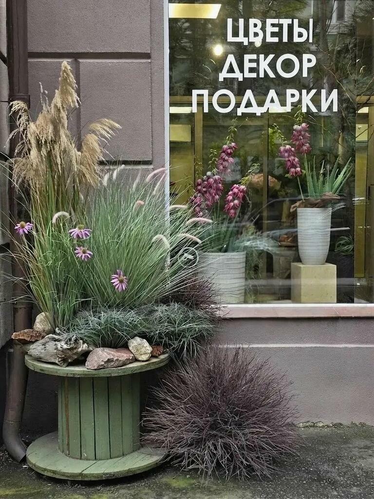 Фото: Администрация города Мурманска.