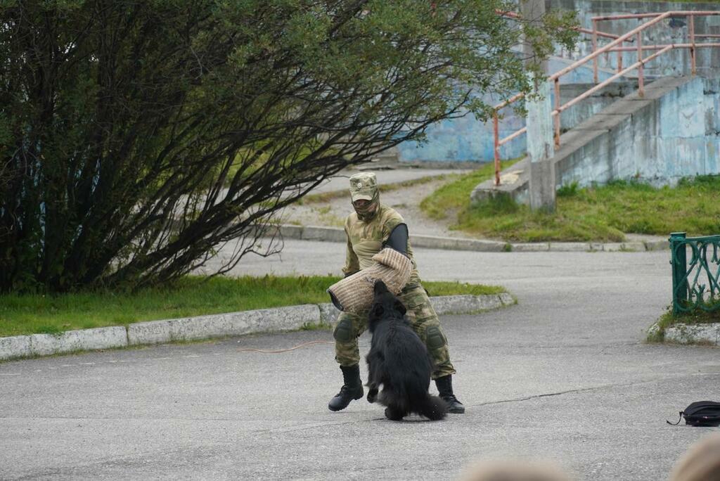 Фото: Пресс-служба Управления Росгвардии по Мурманской области.