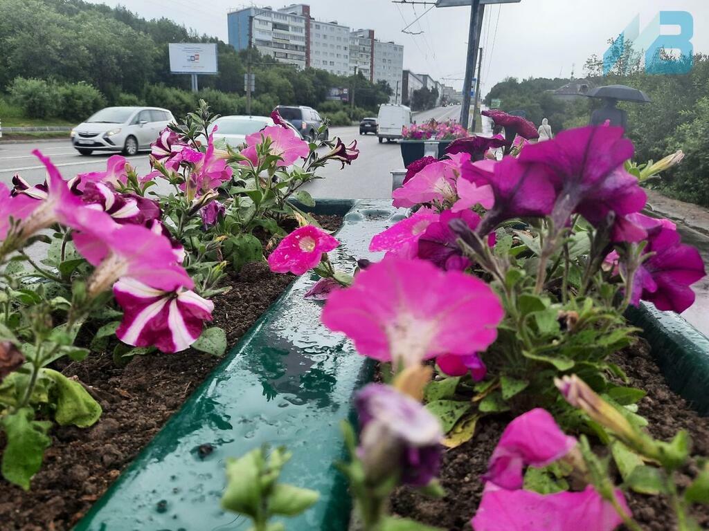 Фото: Марина Долгирева.
