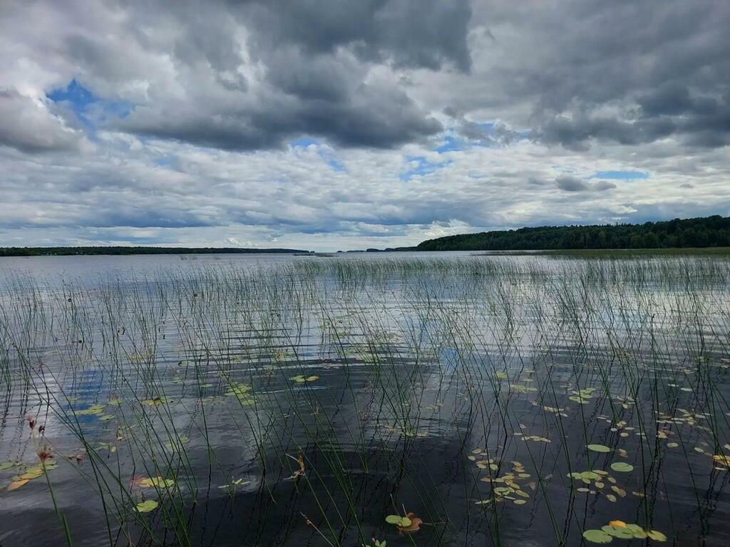 Фото: Пресс-служба РГПУ им. А. И. Герцена.