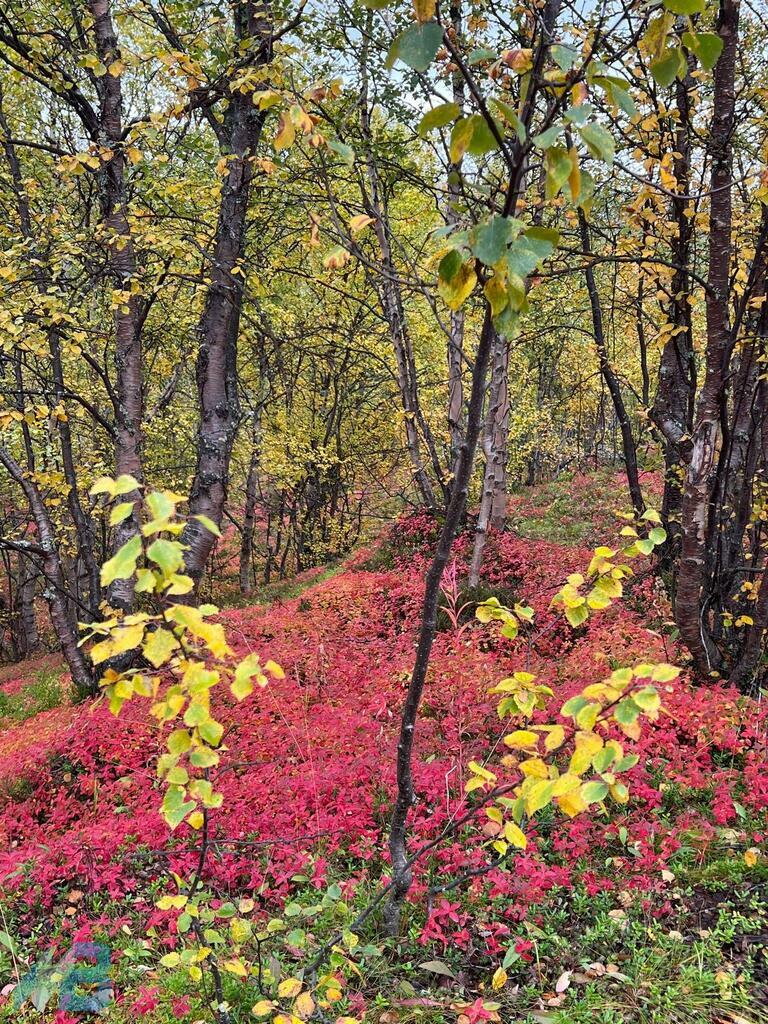 Фото: Алексей Исаев.