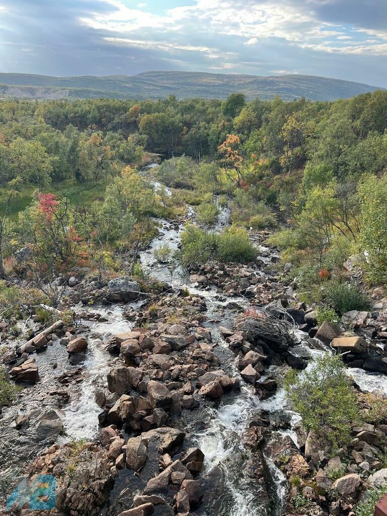 Фото: Алексей Исаев.
