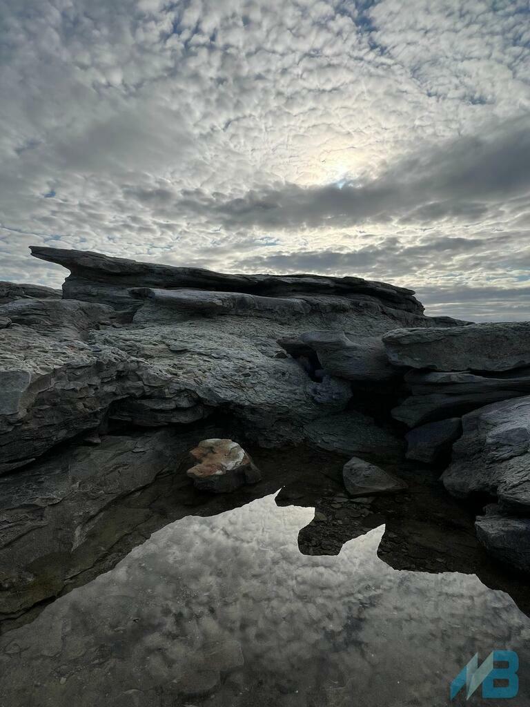 Фото: Алексей Исаев.