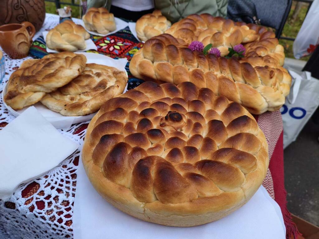 Ольги Алексеенко.