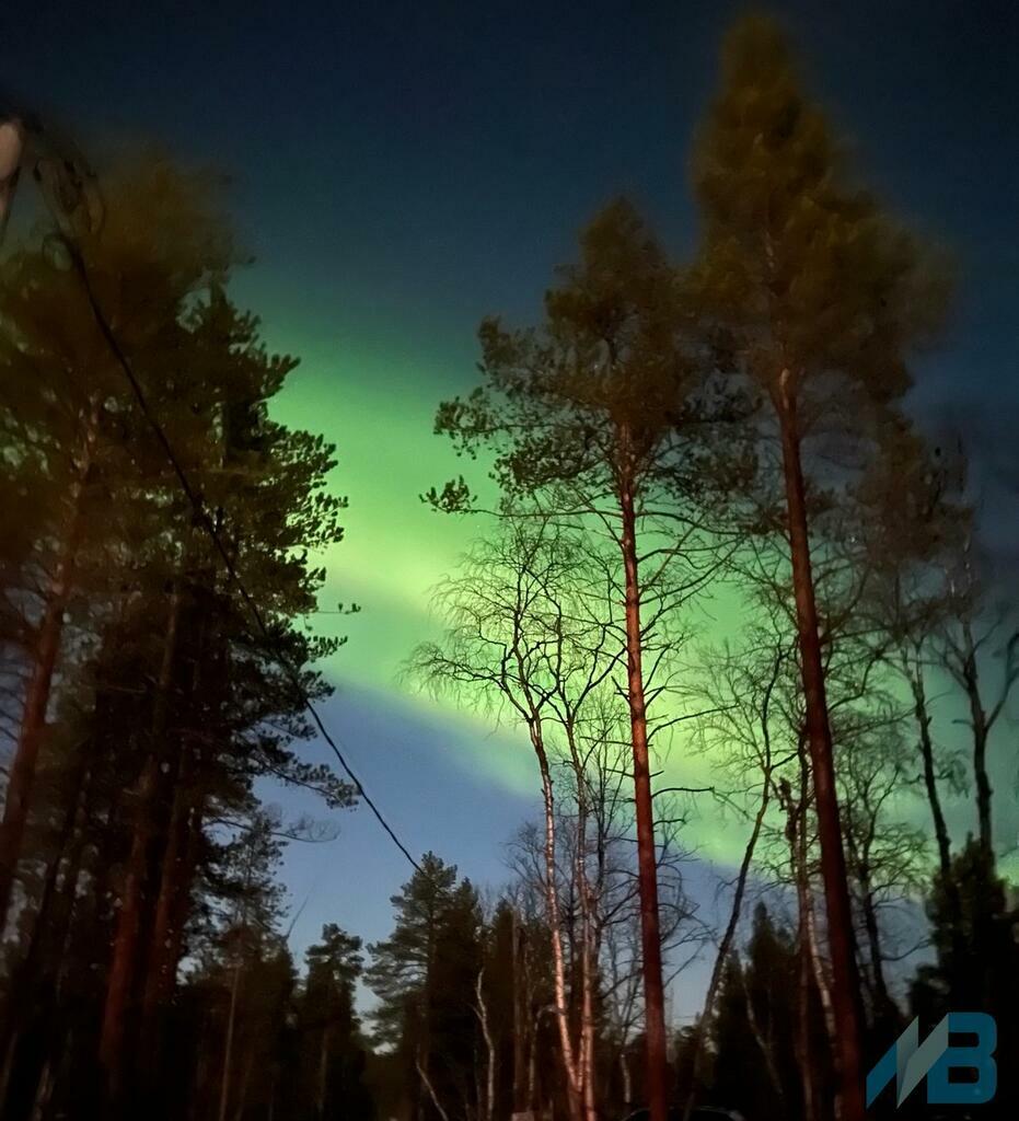 Фото: Алексей Исаев.