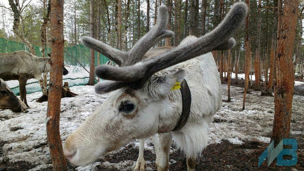 Фото: Алексей Исаев.