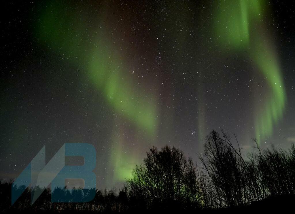 Фото Льва Федосеева. Фото Льва Федосеева.