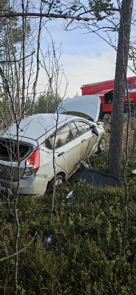Фото: Управление по ГОЧС и ПБ Мурманской области.